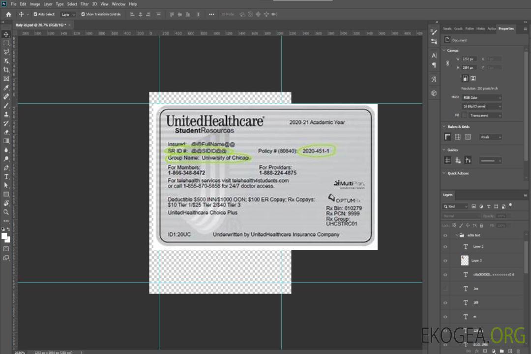 Carte d'assurance maladie UnitedHealthCare aux États-Unis template